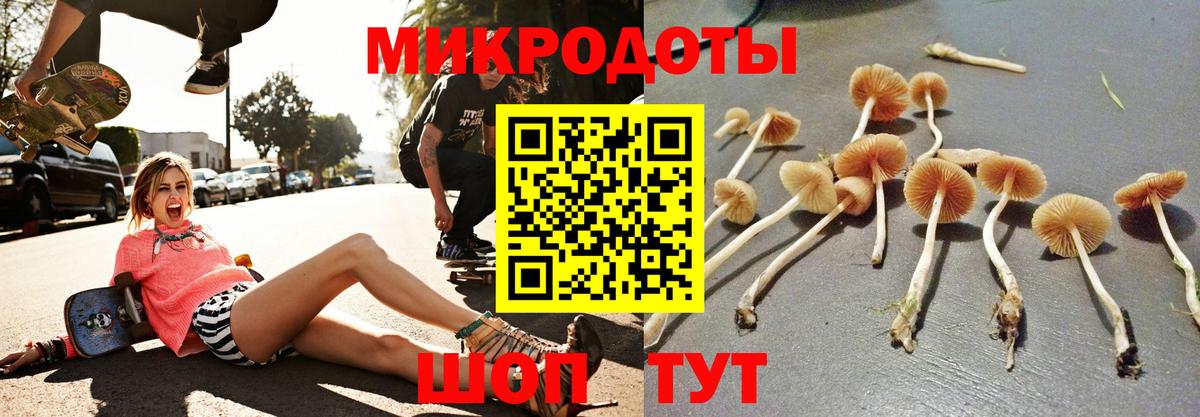 Псилоцибиновые грибы мухоморы Нерюнгри